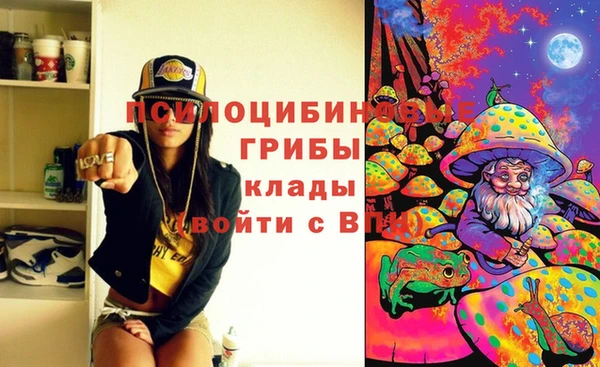 молекула духа Алексеевка