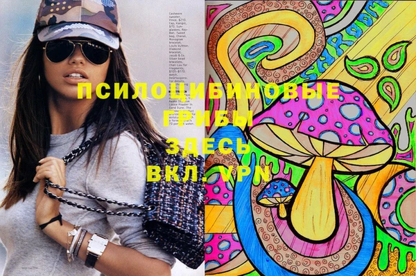 ешки Алексин