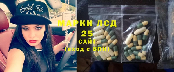 ешки Алексин