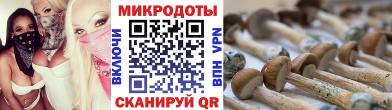 Псилоцибиновые грибы мицелий  Всеволожск 